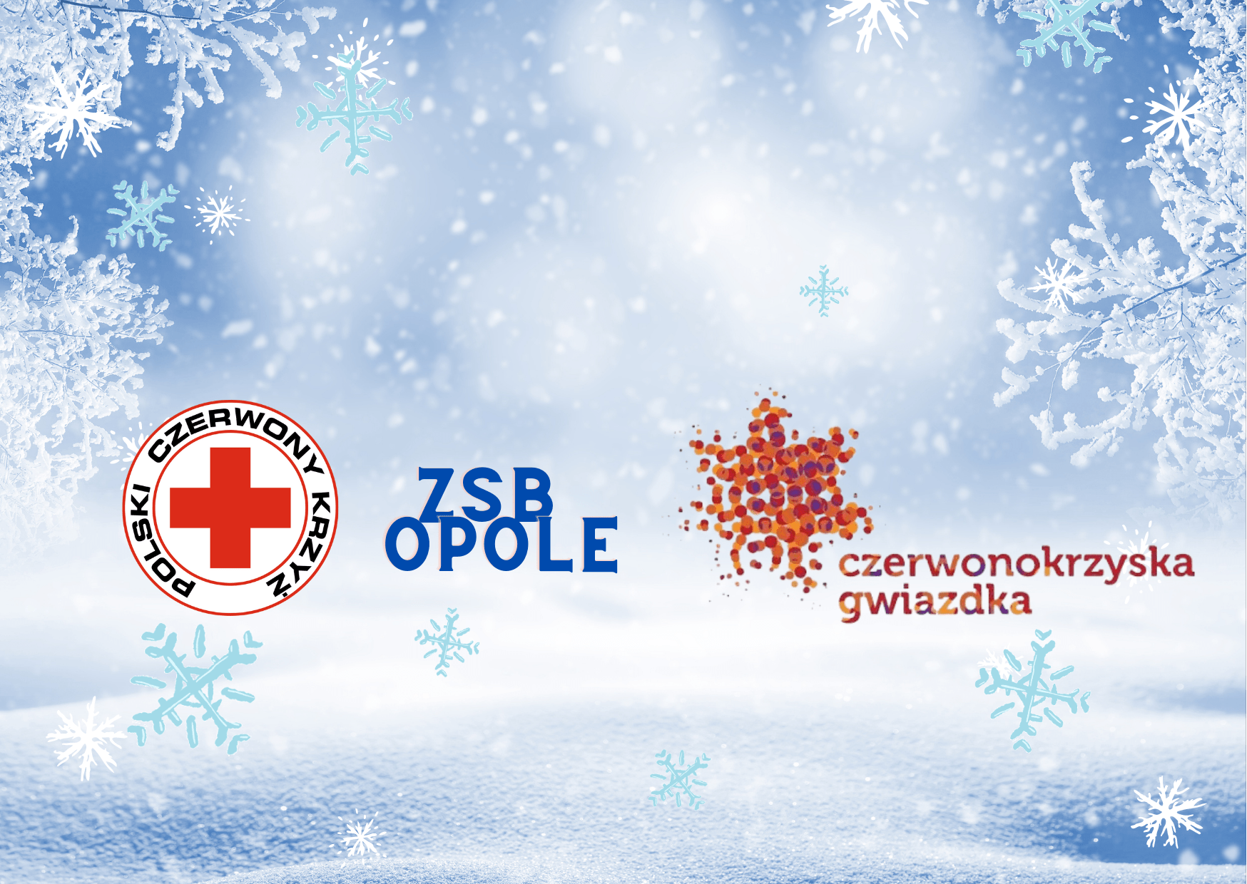 Czerwononokrzyska Gwiazdka w ZSB