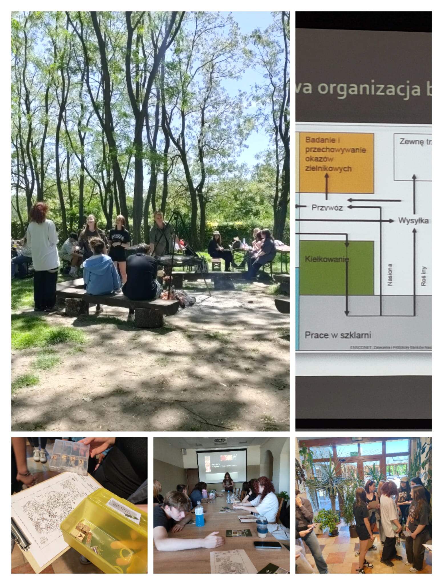 Wycieczka do Śląskiego Ogrodu Botanicznego w Mikołowie