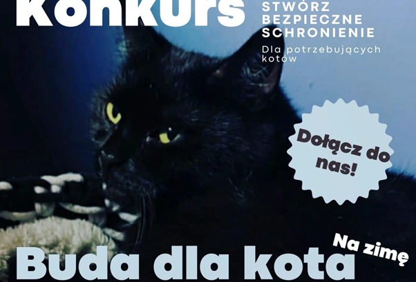 Konkurs: „Buda dla Kota na Zimę”