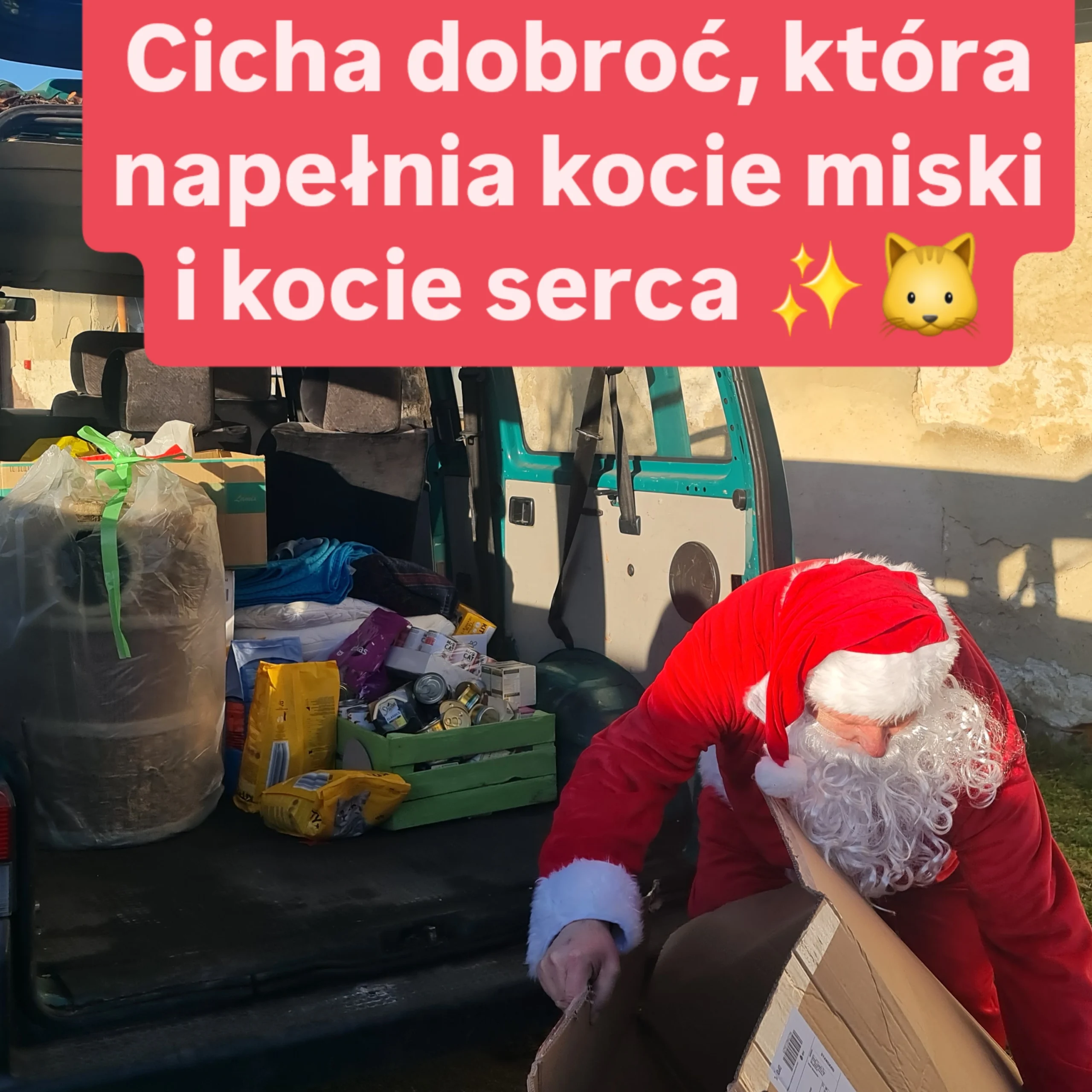 Podróż w głąb kociego świata